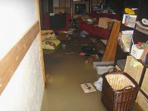 septic backup in basement