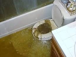 sewage overflow toilet